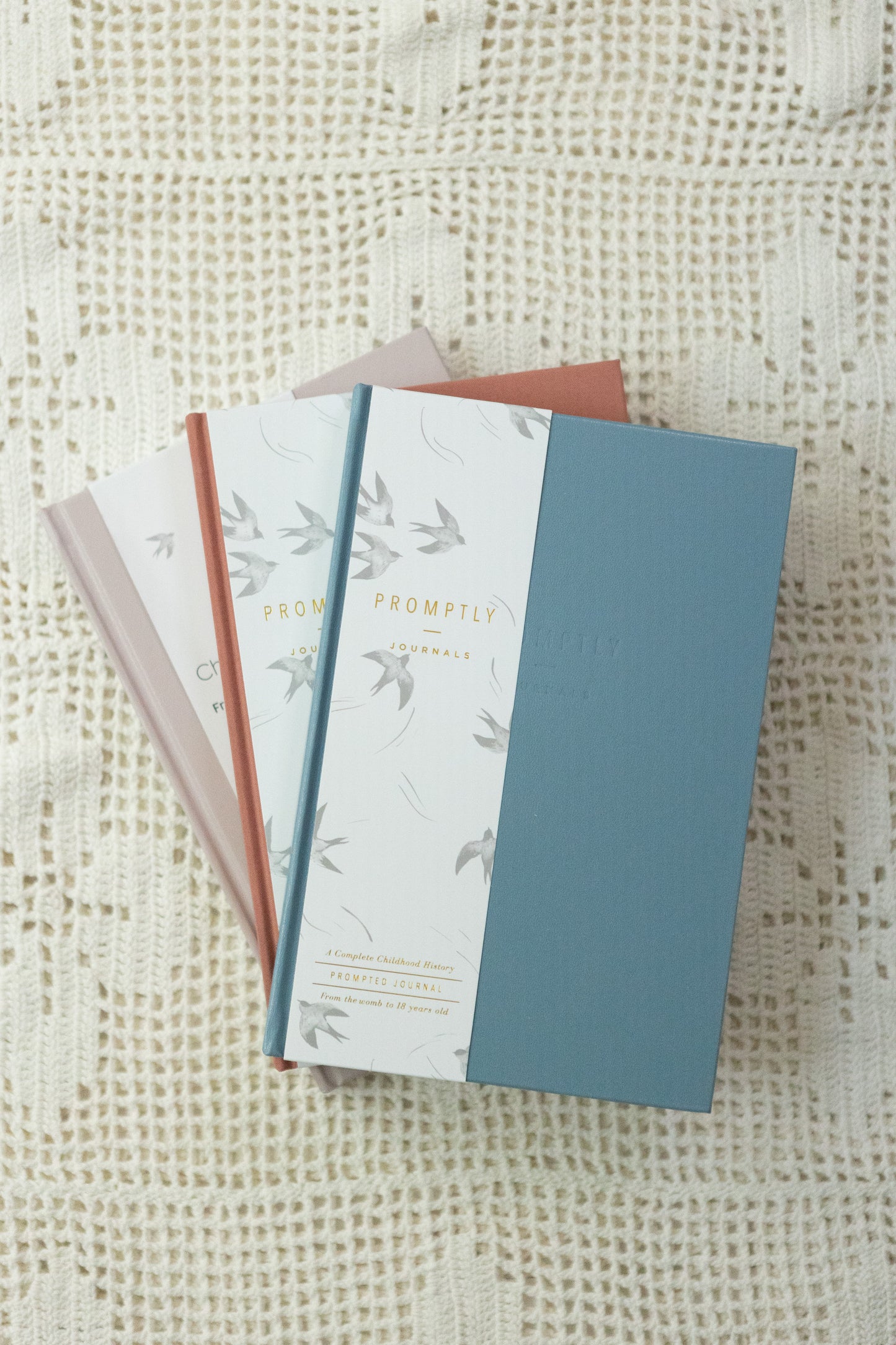 Childhood History - Dusty Blue Leatherette