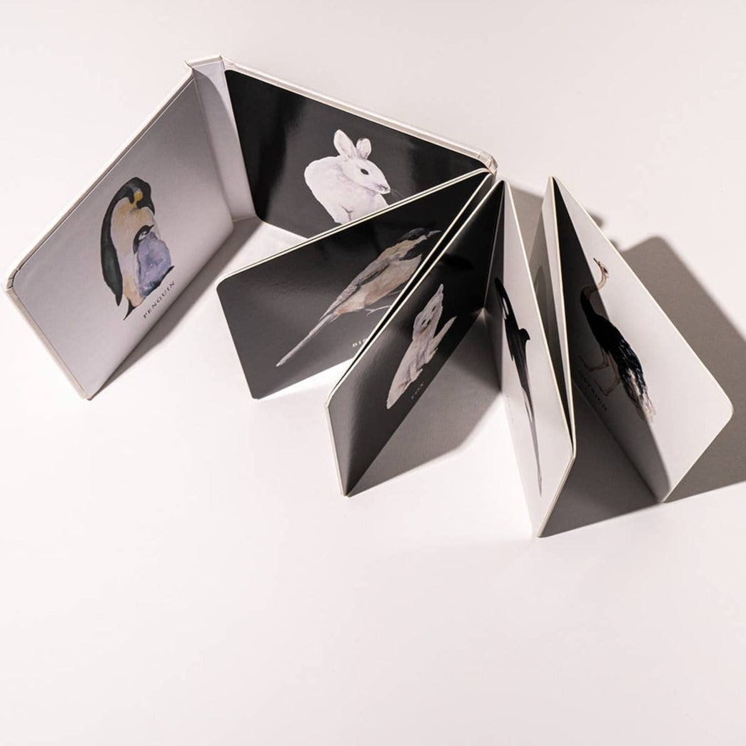 Baby's Black and White Contrast Book