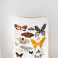 Large Butterfly Collector Throw Blanket